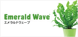 エメラルドウェーブ｜Emerald Wave